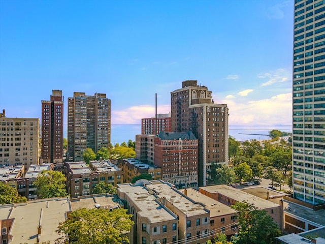 5555 S Everett Ave Unit C14, Chicago, IL 60637 - view of city