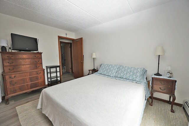 4946 Douglas Rd Unit 202, Downers Grove, IL 60515 - bedroom with wood finished floors and baseboard heating