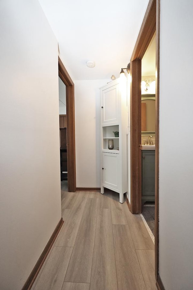 4946 Douglas Rd Unit 202, Downers Grove, IL 60515 - hallway featuring light wood-type flooring and a sink