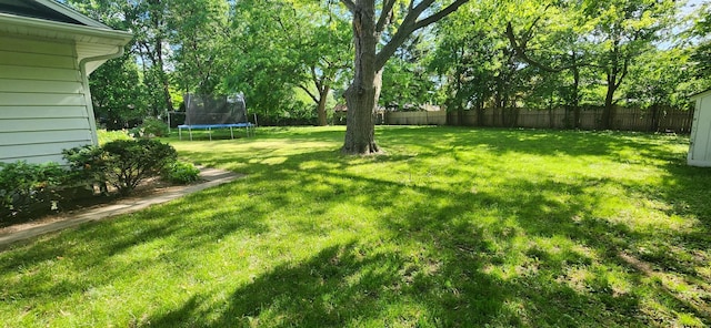 27375 W Nippersink Rd, Ingleside, IL 60041 - view of yard featuring a trampoline