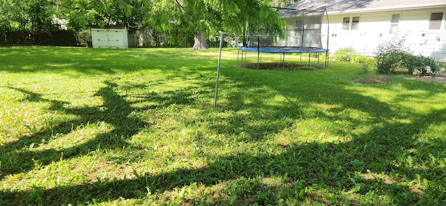 27375 W Nippersink Rd, Ingleside, IL 60041 - view of green lawn featuring a trampoline and a shed