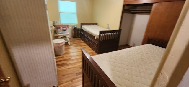 27375 W Nippersink Rd, Ingleside, IL 60041 - bedroom with light wood-style flooring