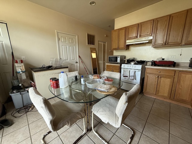 5416 W Thomas St, Chicago, IL 60651 - photo 5