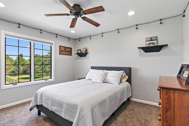29990 Fehmarn Way, Genoa, IL 60135 - bedroom with carpet floors, recessed lighting, and a ceiling fan