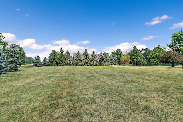 29990 Fehmarn Way, Genoa, IL 60135 - view of grassy yard