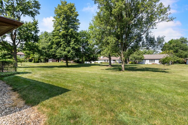 1803 Lyndhurst Dr, Savoy, IL 61874 - view of green lawn