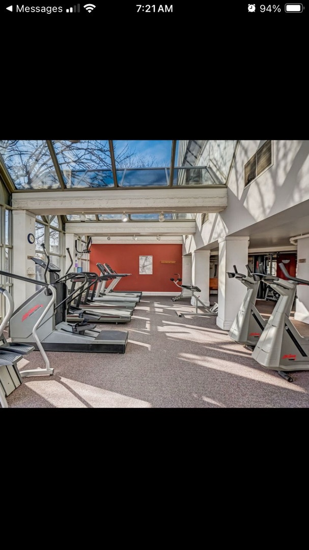 9444 Kelvin Ln Unit A-3211, Schiller Park, IL 60176 - workout area featuring carpet floors