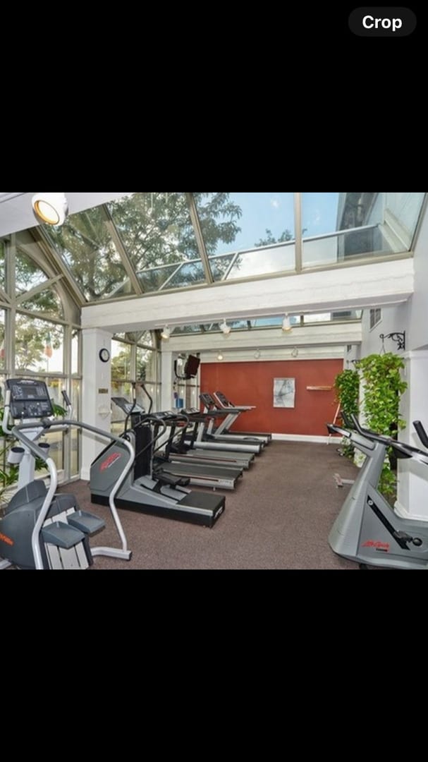 9444 Kelvin Ln Unit A-3211, Schiller Park, IL 60176 - workout area with carpet