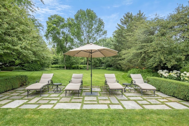 475 Red Fox Ln, Lake Forest, IL 60045 - view of grassy yard with a patio area