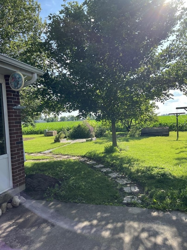 422 N 4th St, Cissna Park, IL 60924 - view of grassy yard
