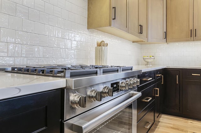 1104 Walter St, Lemont, IL 60439 - kitchen with high end stainless steel range oven, decorative backsplash, light stone counters, and light wood finished floors