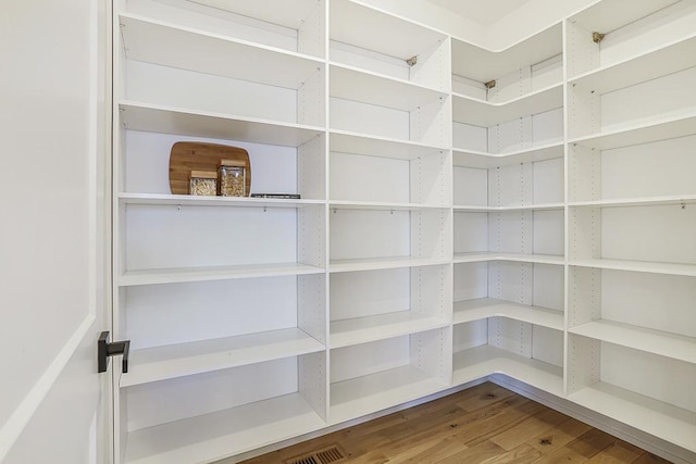 1104 Walter St, Lemont, IL 60439 - view of pantry