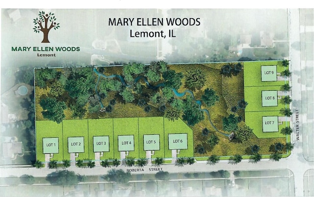 1104 Walter St, Lemont, IL 60439 - map / location with property parcel outlined