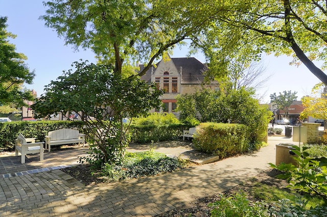 131 N Pierce Ave, Wheaton, IL 60187 - surrounding community