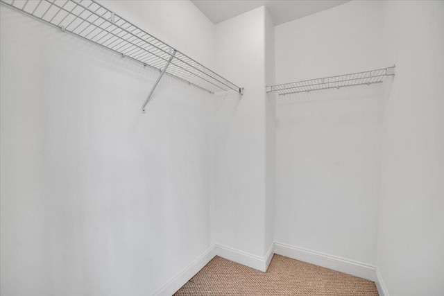 6825 W 64th Pl, Chicago, IL 60638 - walk in closet with light colored carpet
