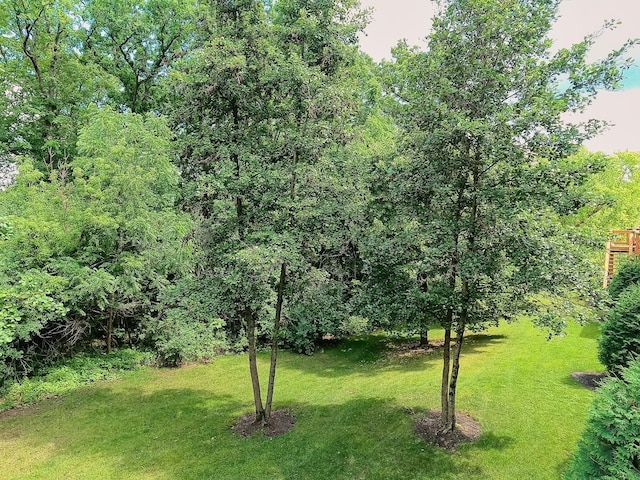 1421 Yellowstone Dr, Streamwood, IL 60107 - photo 32