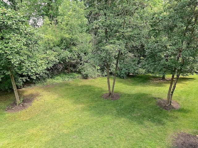 1421 Yellowstone Dr, Streamwood, IL 60107 - photo 33