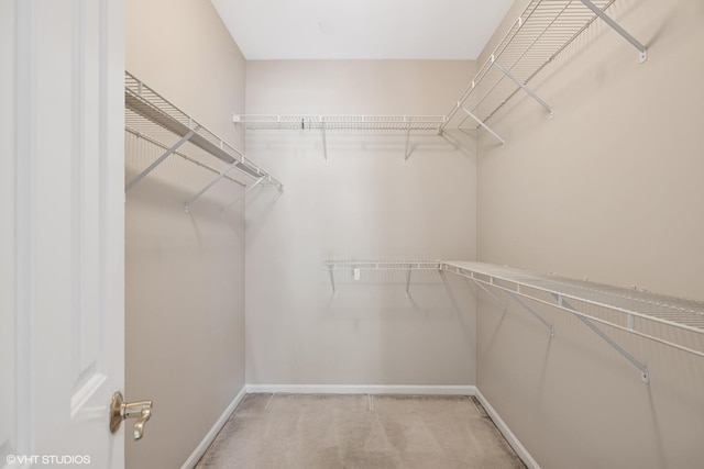 501 Forest Ave Unit 305, Glen Ellyn, IL 60137 - walk in closet featuring light carpet