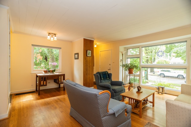 1611 Cleveland St, Evanston, IL 60202 - photo 6