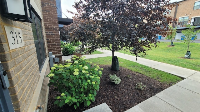 315 Elm Ct, Mount Prospect, IL 60056 - photo 4