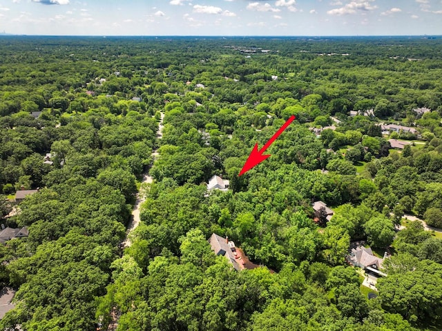 1490 S Ridge Rd, Lake Forest, IL 60045 - aerial view of a forest