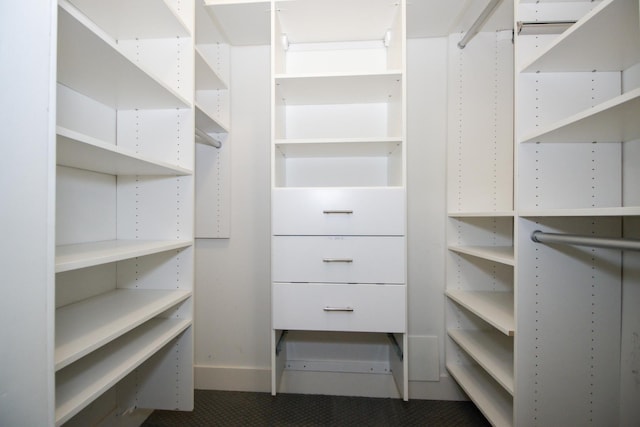 323 W Schiller St Unit 1W, Chicago, IL 60610 - view of spacious closet