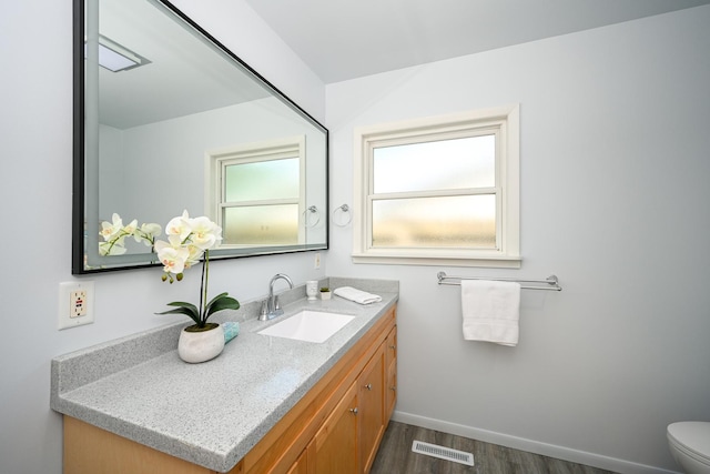 114 S Chestnut Dr, Streamwood, IL 60107 - bathroom featuring wood finished floors and vanity