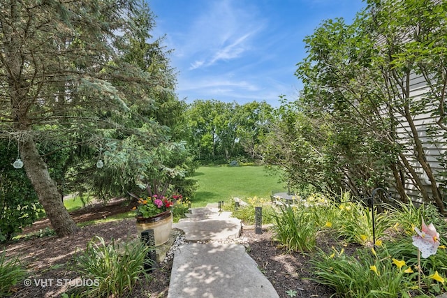 5609 Farmbrook Ln, Crystal Lake, IL 60014 - view of grassy yard