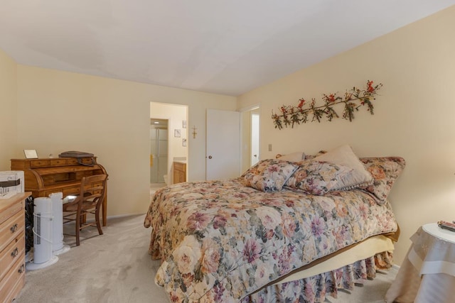 740 Saint Andrews Ln Unit 13, Crystal Lake, IL 60014 - bedroom with light carpet and connected bathroom