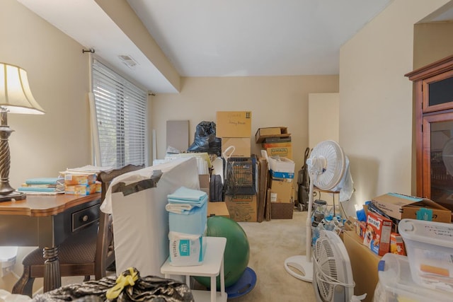 740 Saint Andrews Ln Unit 13, Crystal Lake, IL 60014 - view of storage