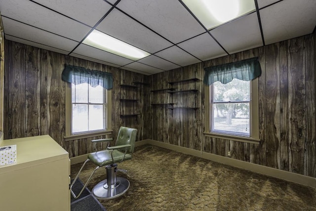 1128 Shiloh Blvd, Zion, IL 60099 - carpeted office space featuring wood walls and a paneled ceiling