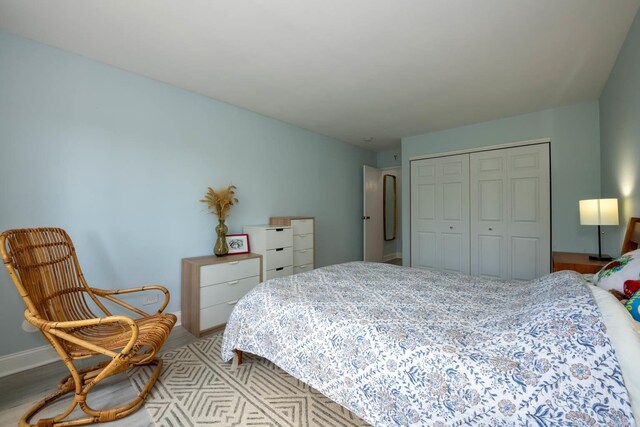 9395 Landings Ln Unit 406, Des Plaines, IL 60016 - bedroom with a closet and baseboards