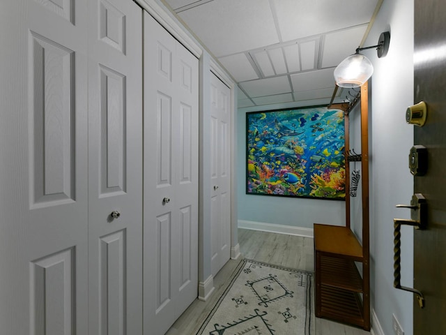9395 Landings Ln Unit 406, Des Plaines, IL 60016 - hallway with a paneled ceiling and light wood-style floors