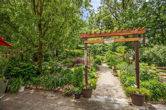 4091/2 Concord Ave, Fox River Grove, IL 60021 - view of yard