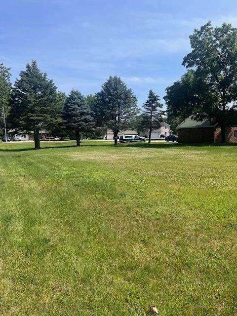625 W Main St, Braidwood, IL 60408 - photo 4