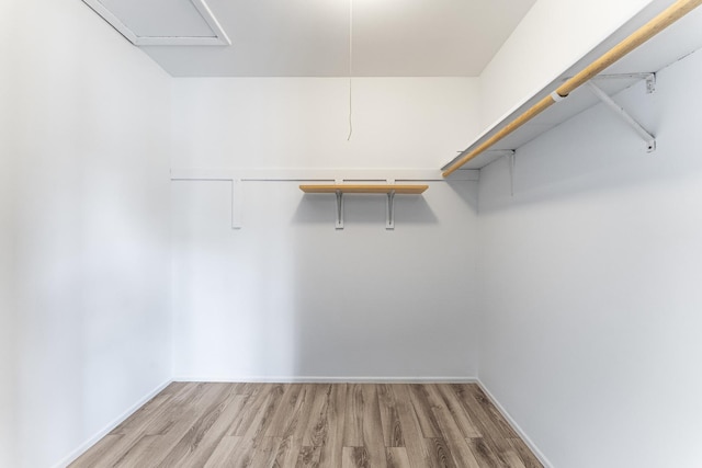 1558 Quaker Ln Unit 174D, Prospect Heights, IL 60070 - walk in closet with wood finished floors