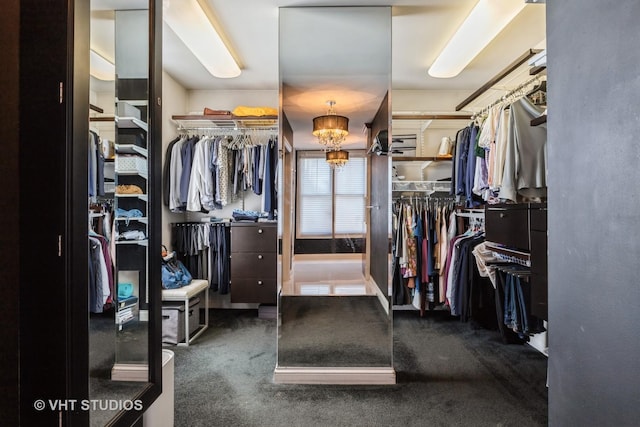 1867 Admiral Ct, Glenview, IL 60026 - spacious closet with carpet flooring