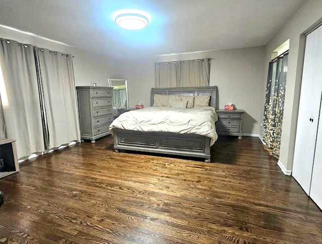12416 W Prairie Dr, Homer Glen, IL 60491 - bedroom with dark wood-style flooring