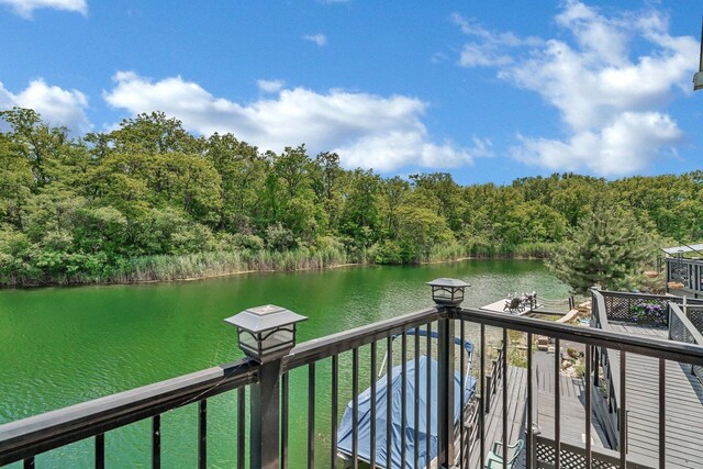 32 Largemouth Ln, Wilmington, IL 60481 - photo 11