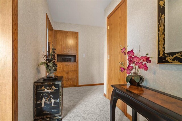 13079 N 1800 E Rd, Pontiac, IL 61764 - corridor with carpet and a textured wall
