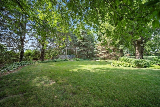 13079 N 1800 E Rd, Pontiac, IL 61764 - view of grassy yard