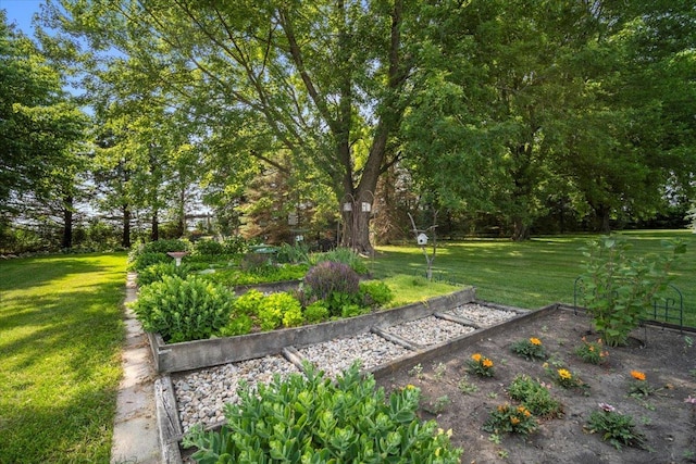 13079 N 1800 E Rd, Pontiac, IL 61764 - view of grassy yard with a garden
