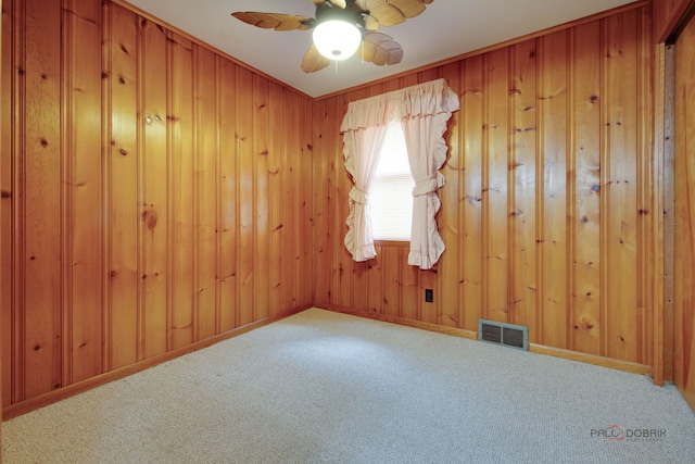 80 N Lake Ave, Third Lake, IL 60030 - spare room with carpet, ceiling fan, and wooden walls