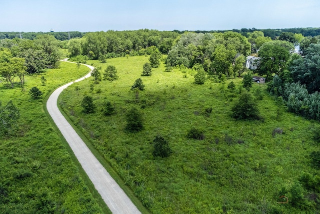 80 N Lake Ave, Third Lake, IL 60030 - aerial view of a forest