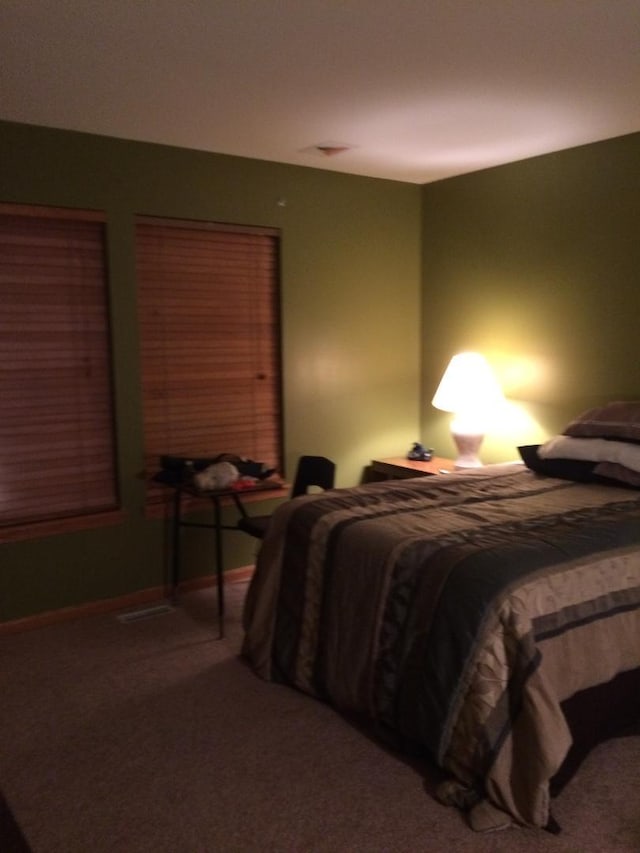 501 E Garfield St, Waterman, IL 60556 - photo 5
