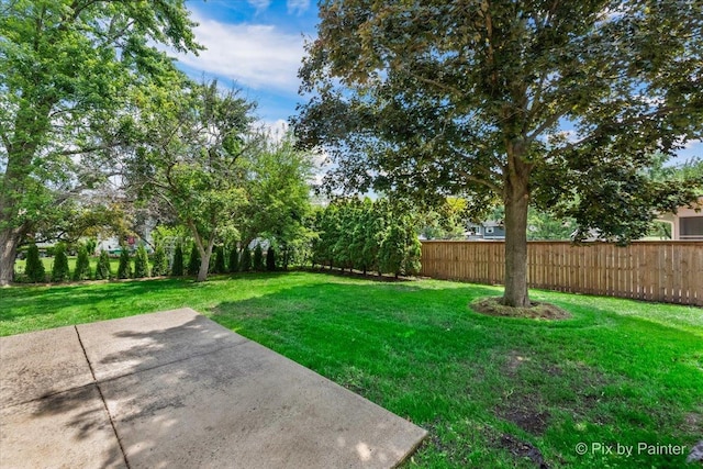 27W075 Fleming Dr, Winfield, IL 60190 - view of yard with a patio area