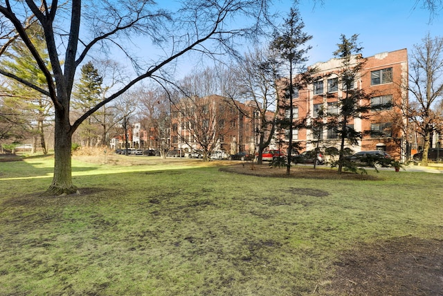 1360 E Madison Park Unit B, Chicago, IL 60615 - view of community featuring a lawn