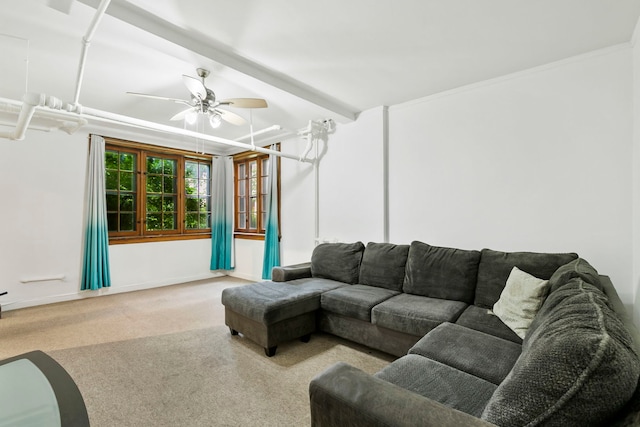1360 E Madison Park Unit B, Chicago, IL 60615 - living room featuring ceiling fan and carpet