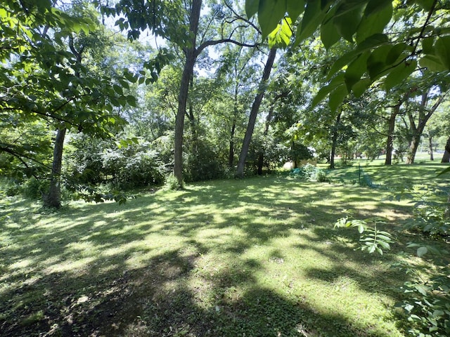 12314 S 88th Ave, Palos Park, IL 60464 - view of grassy yard