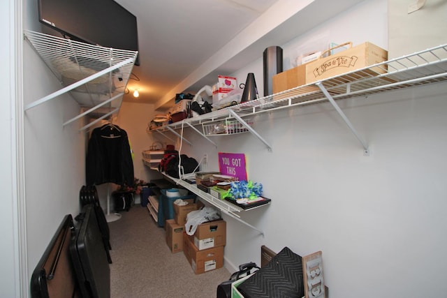 135 Miller Rd, Lake Zurich, IL 60047 - walk in closet featuring carpet floors